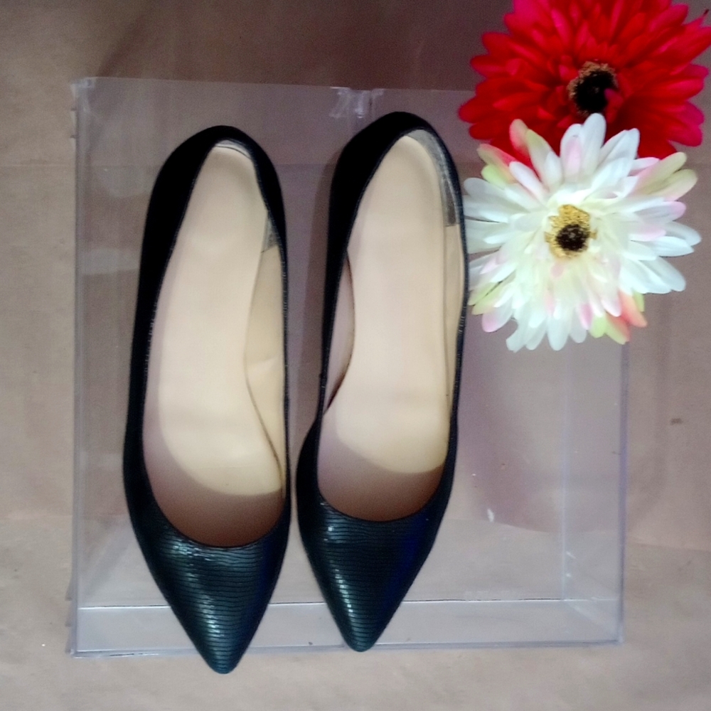 Pointy Toe Ivanka Trump Flats